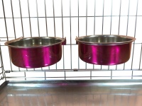 Ellie-Bo Pair of Large Dog Bowls For Crates, Cages or Pens in Pink